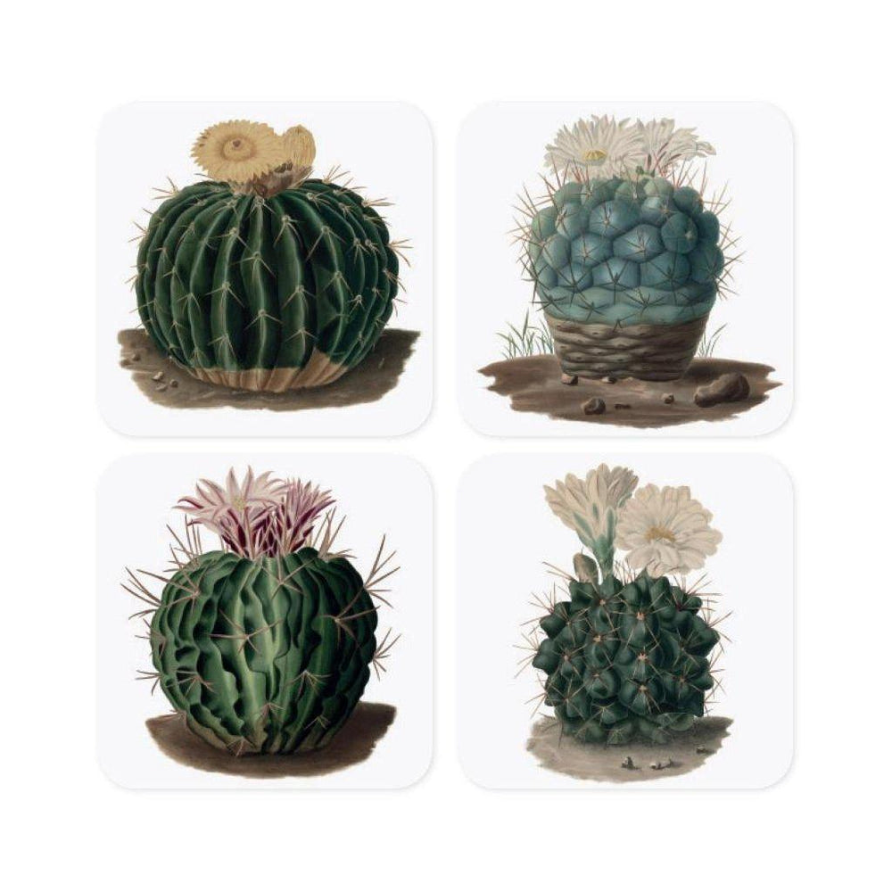 Botanical Cactus Coasters Set-Beaumonde
