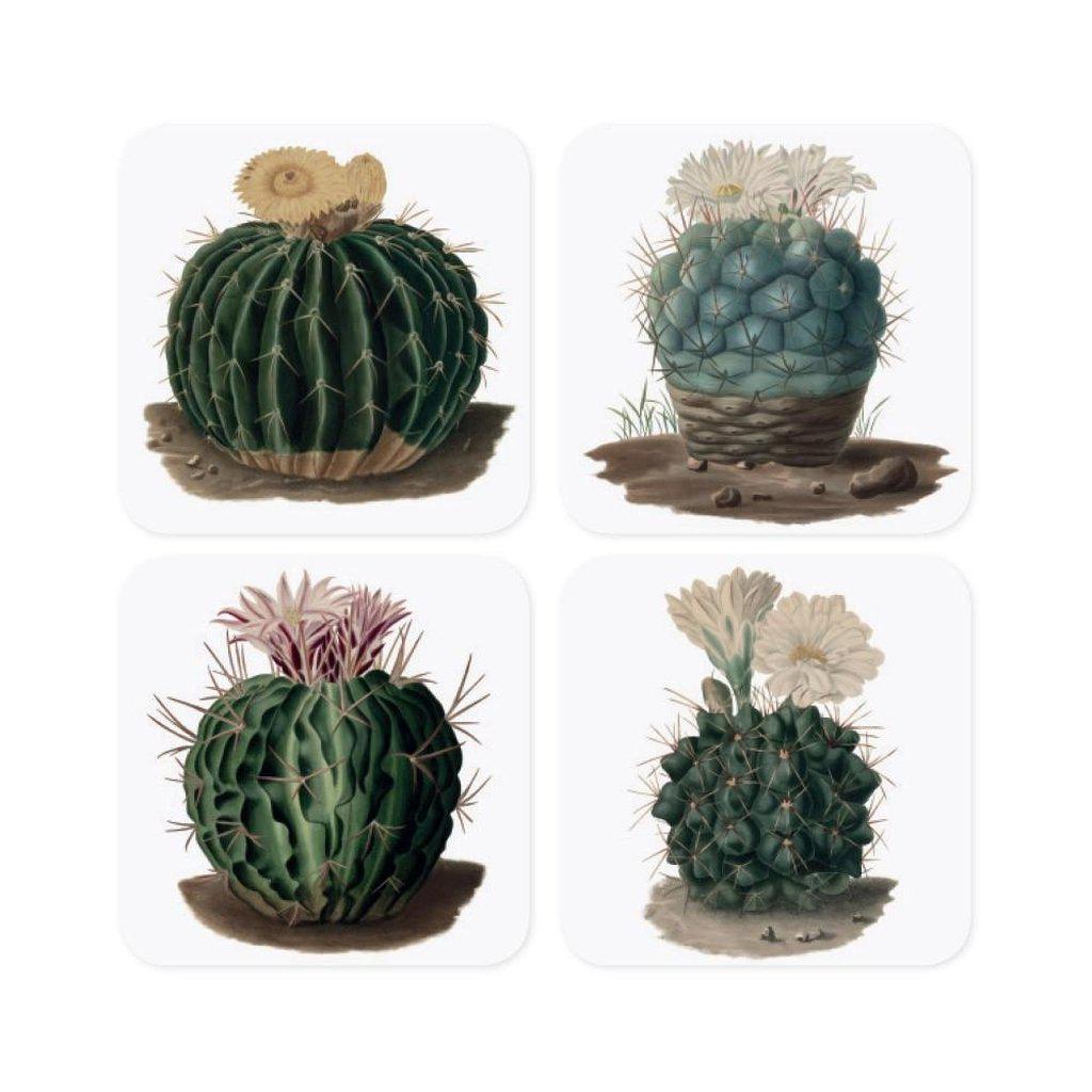 Magpie Botanical Cactus Coasters Set-Beaumonde