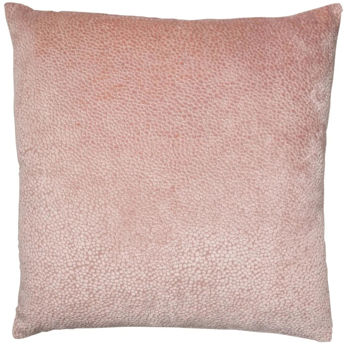 Malini Bingham Cut Velvet Cushion in Putty