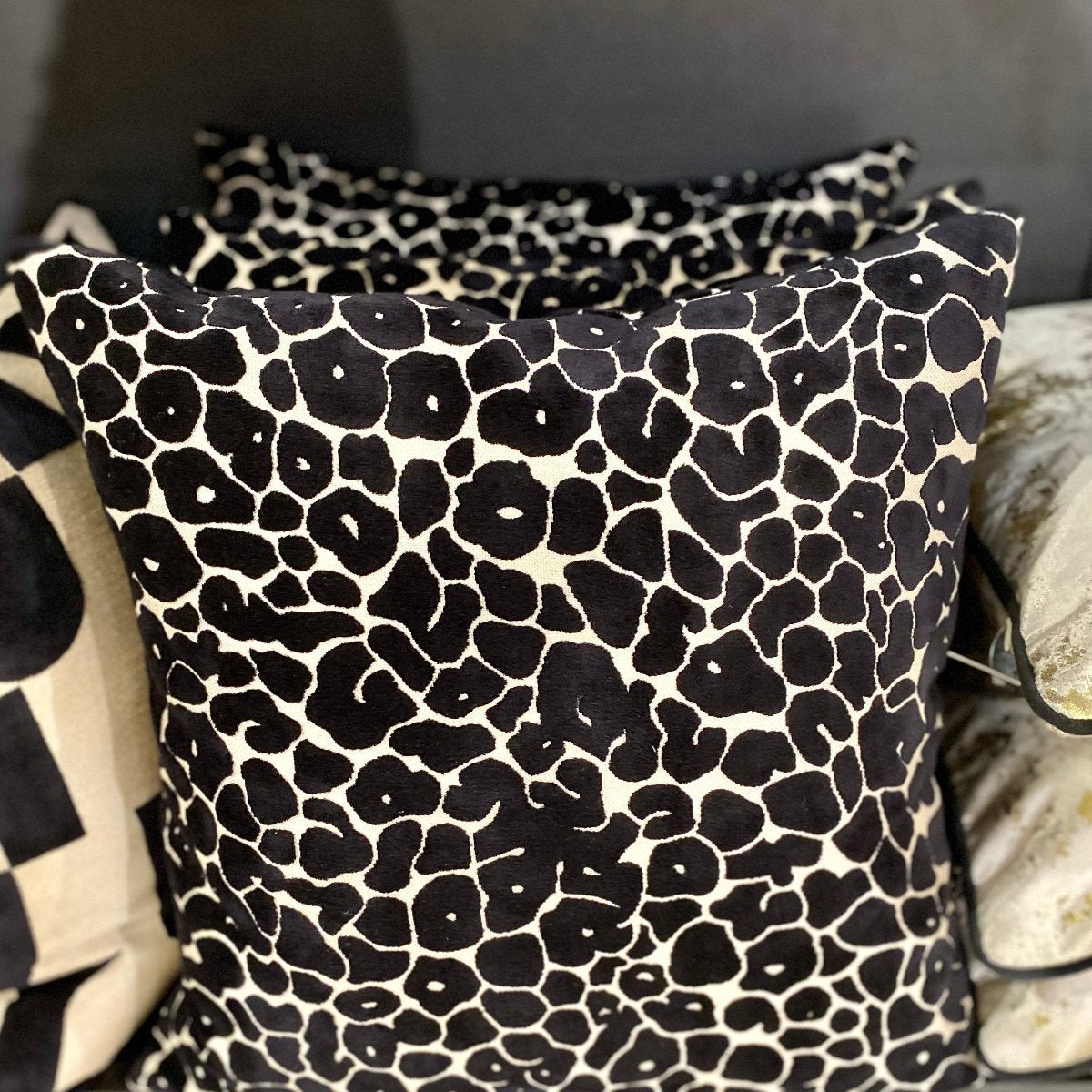 Malini Paul Moneypenny Spoton Cushion in Black