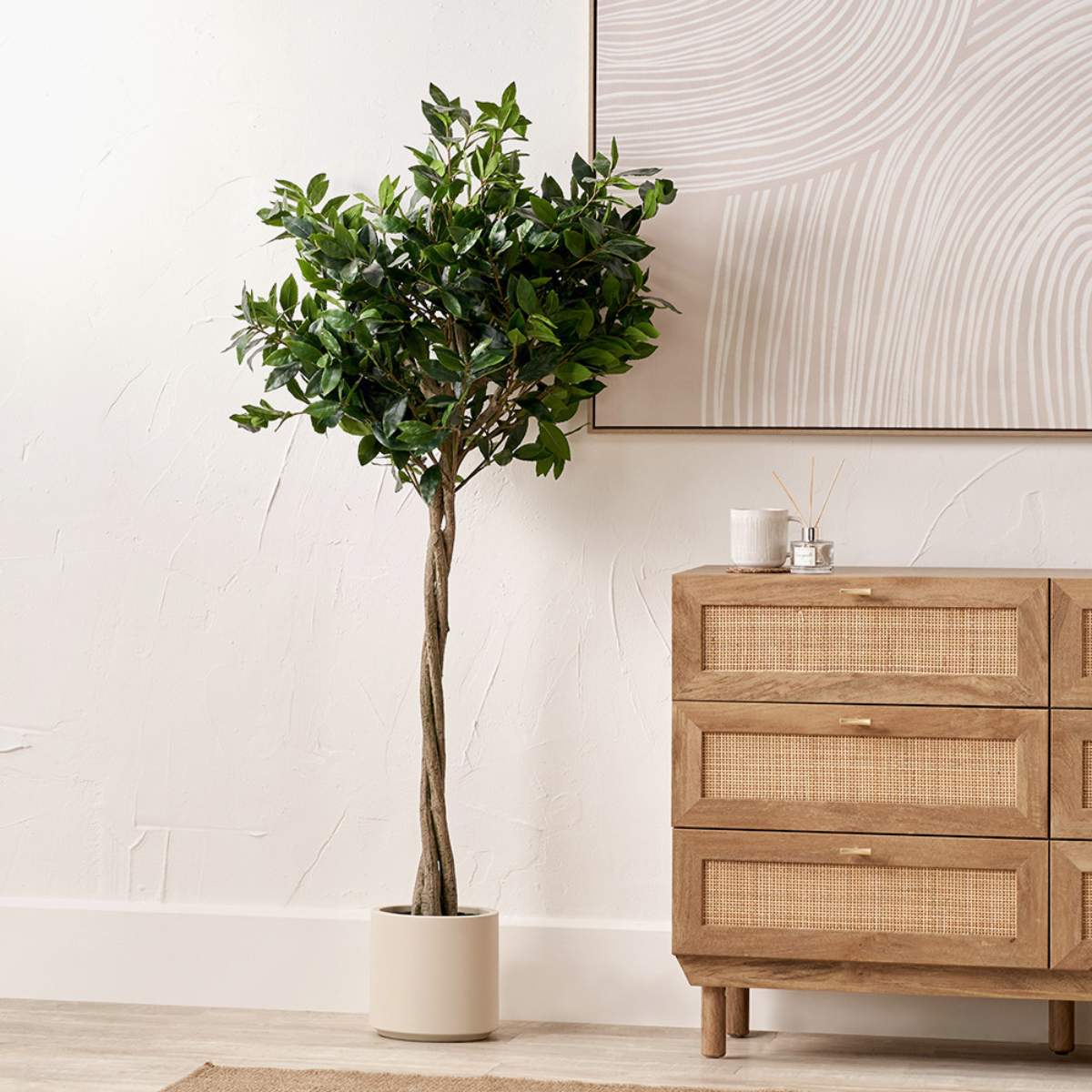 Beau&Co Medium Bay Tree in Pot