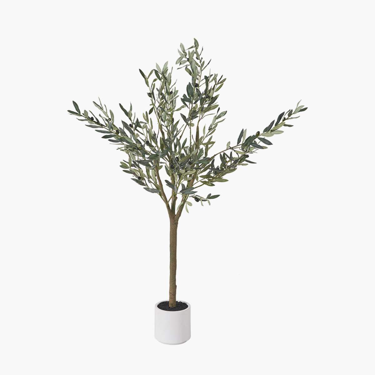 Beau&Co Medium Olive Tree in Pot