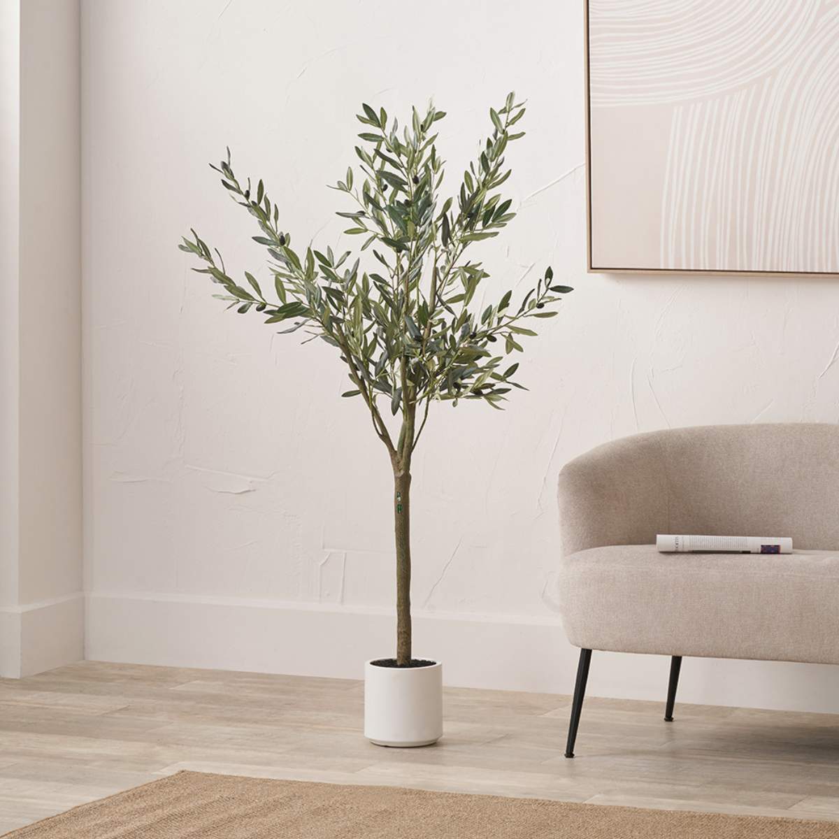 Beau&Co Medium Olive Tree in Pot