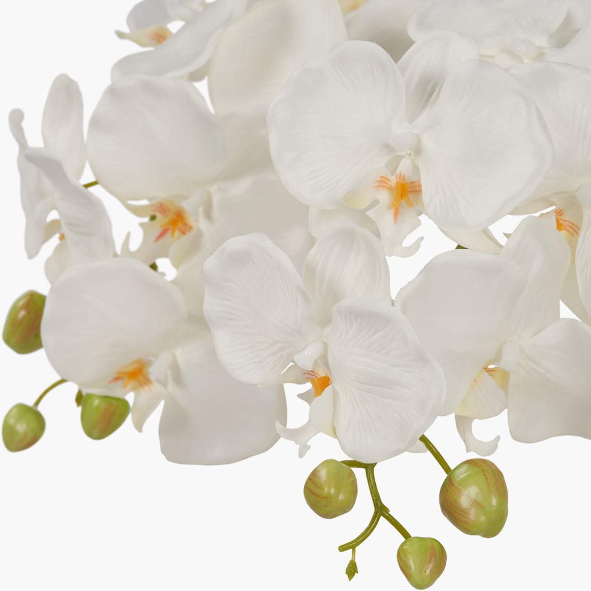 Pacific Lifestyle Medium White Orchid in Moss Pot
