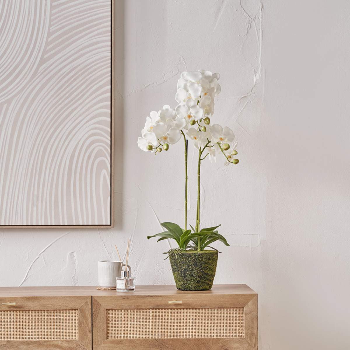 Pacific Lifestyle Medium White Orchid in Moss Pot