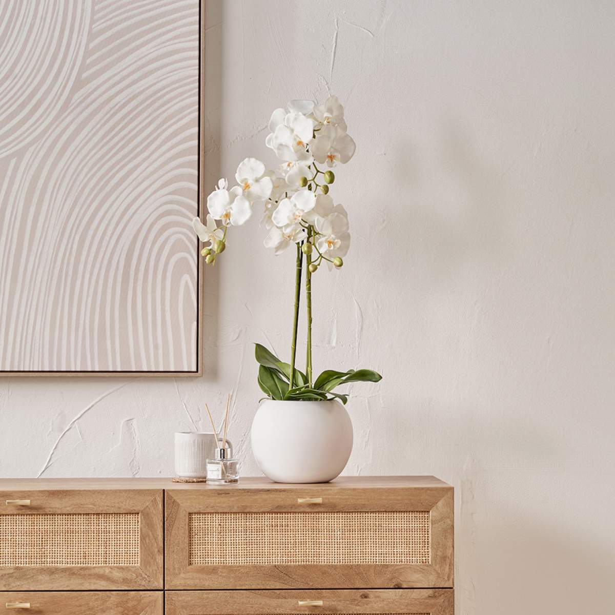 Pacific Lifestyle Medium White Orchid in Pot