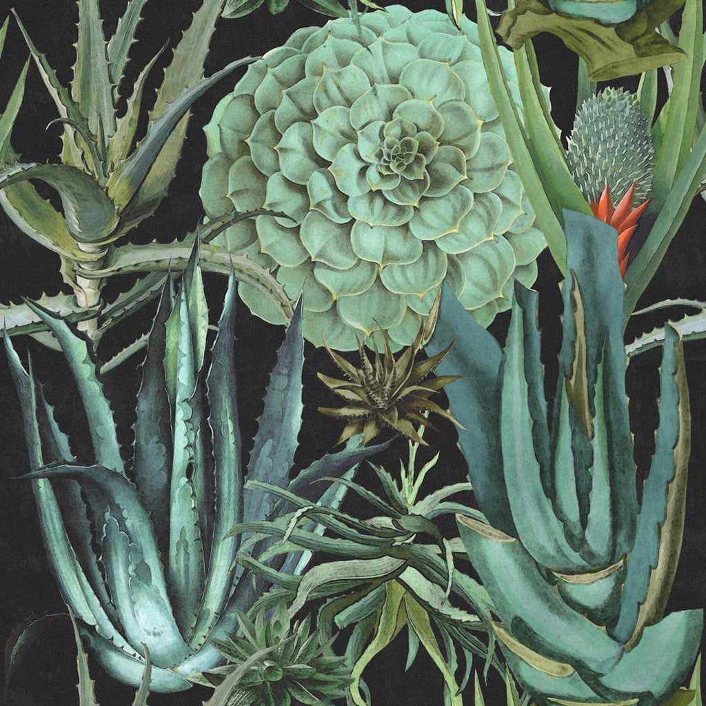 Mind The Gap Succulentus Anthracite Wallpaper Grey/Green-Beaumonde