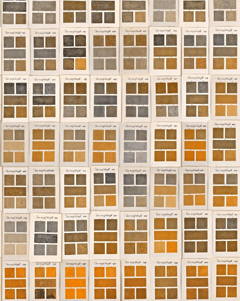 Mind The Gap Traite Des Couleurs Wallpaper Brown/Yellow/White-Beaumonde
