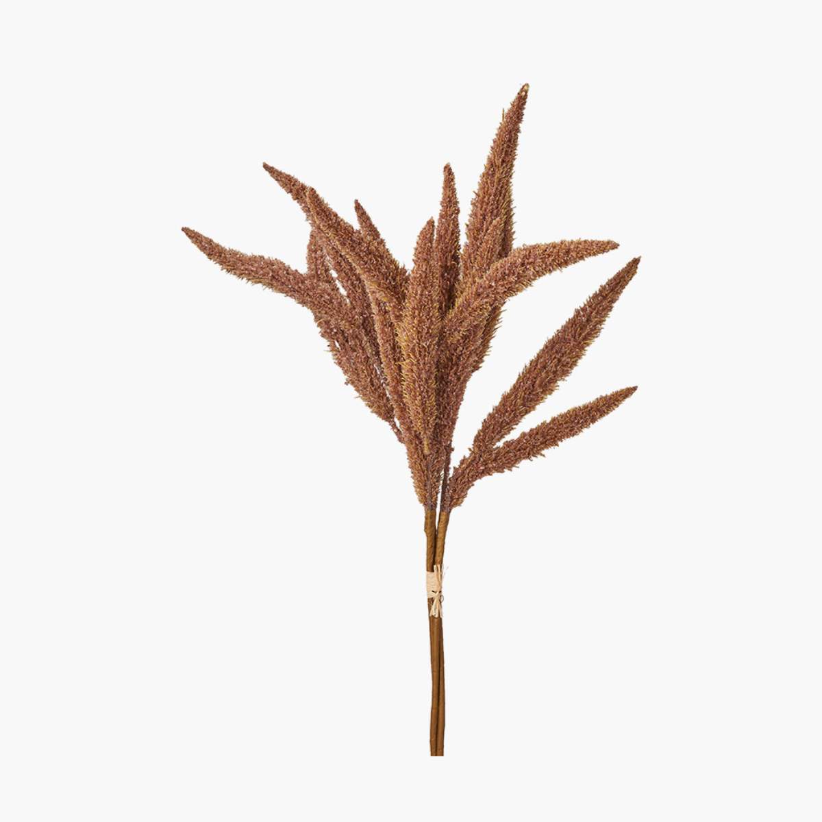 Beau&Co Mulberry Brown Foxtail Hand-Tied 3 Stem Bundle Pack of 6