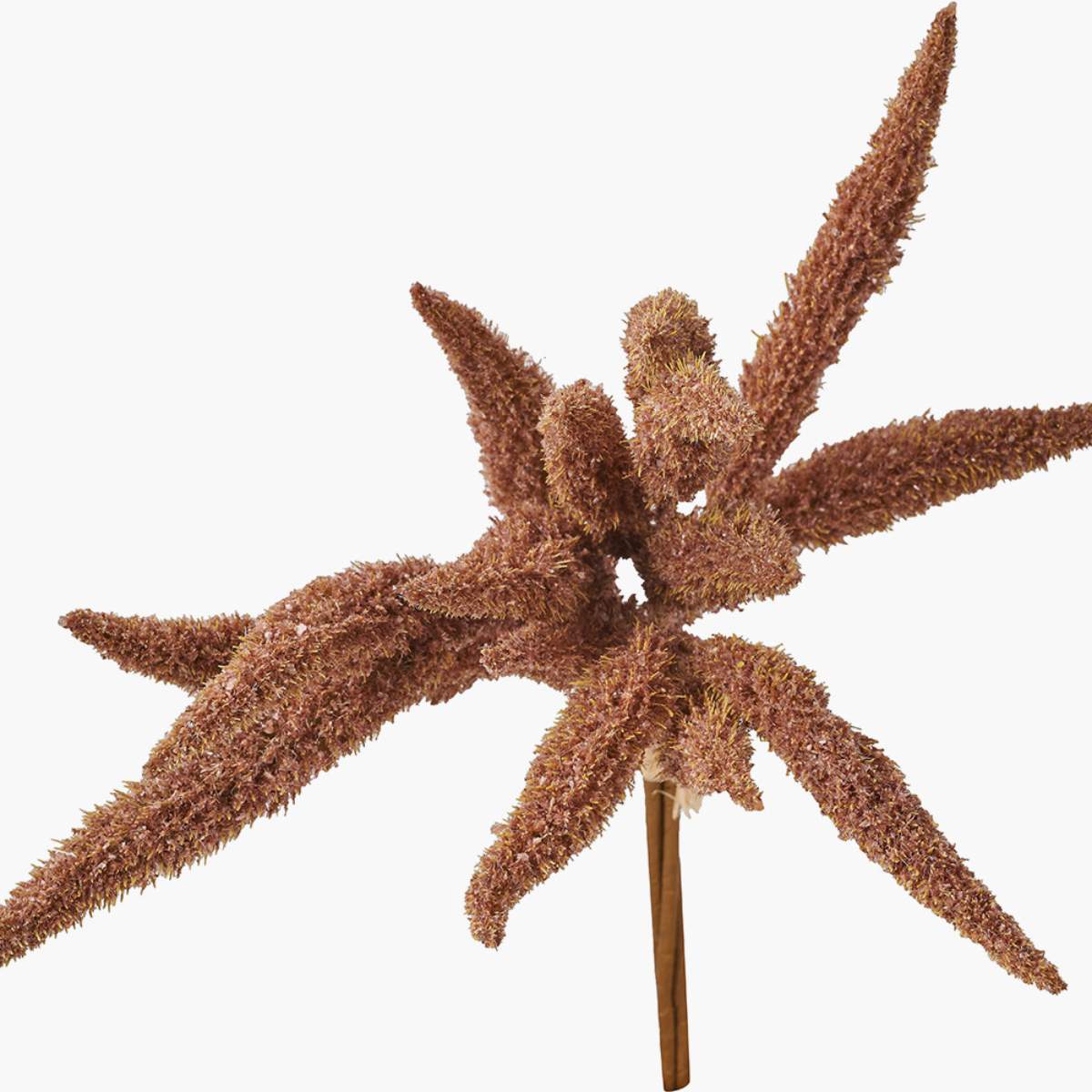 Beau&Co Mulberry Brown Foxtail Hand-Tied 3 Stem Bundle Pack of 6