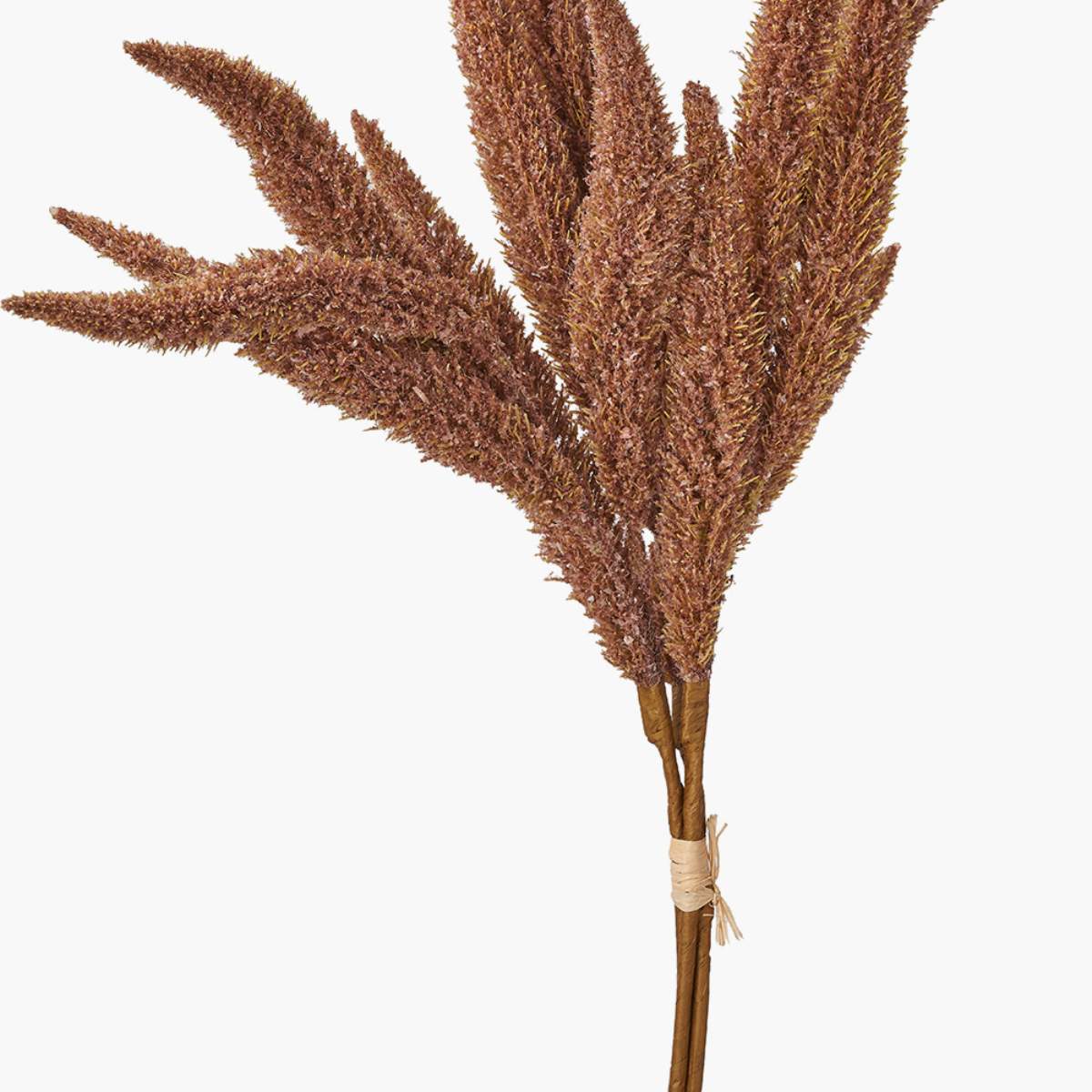 Beau&Co Mulberry Brown Foxtail Hand-Tied 3 Stem Bundle Pack of 6