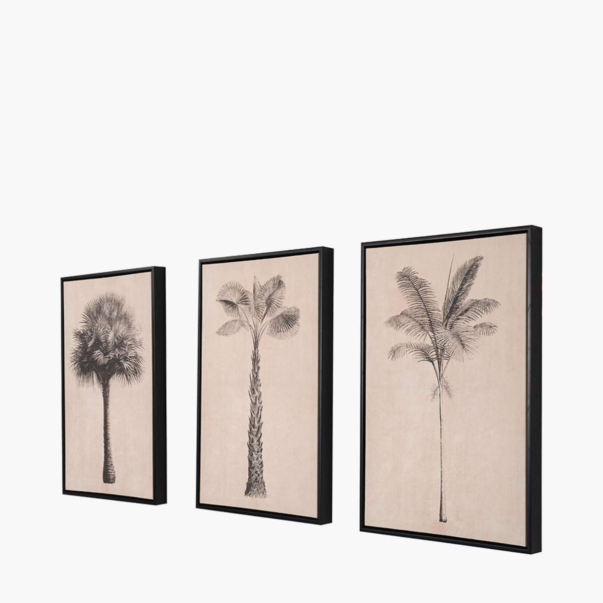 Pacific Lifestyle S/3 Natural and Black Palm Tree Print Canvases with Black Frames