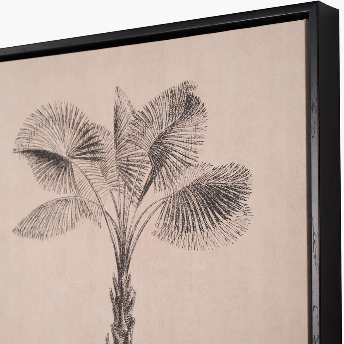 Pacific Lifestyle S/3 Natural and Black Palm Tree Print Canvases with Black Frames