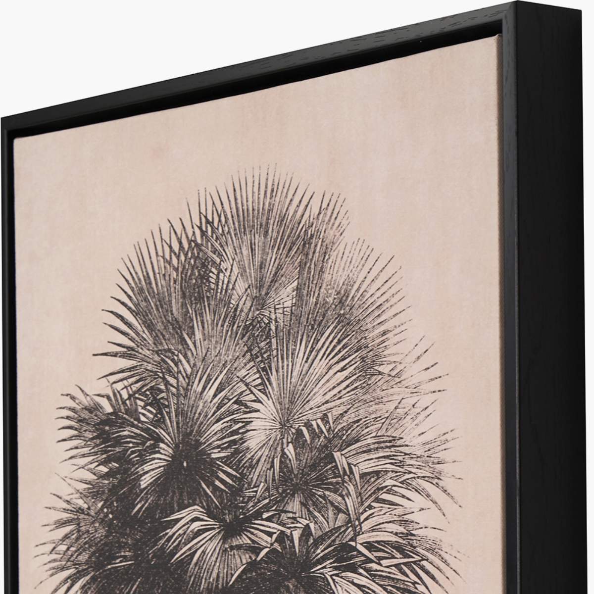 Pacific Lifestyle S/3 Natural and Black Palm Tree Print Canvases with Black Frames