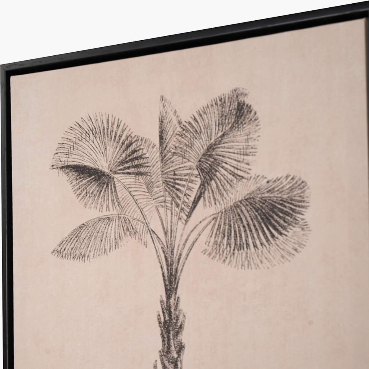 Pacific Lifestyle S/3 Natural and Black Palm Tree Print Canvases with Black Frames
