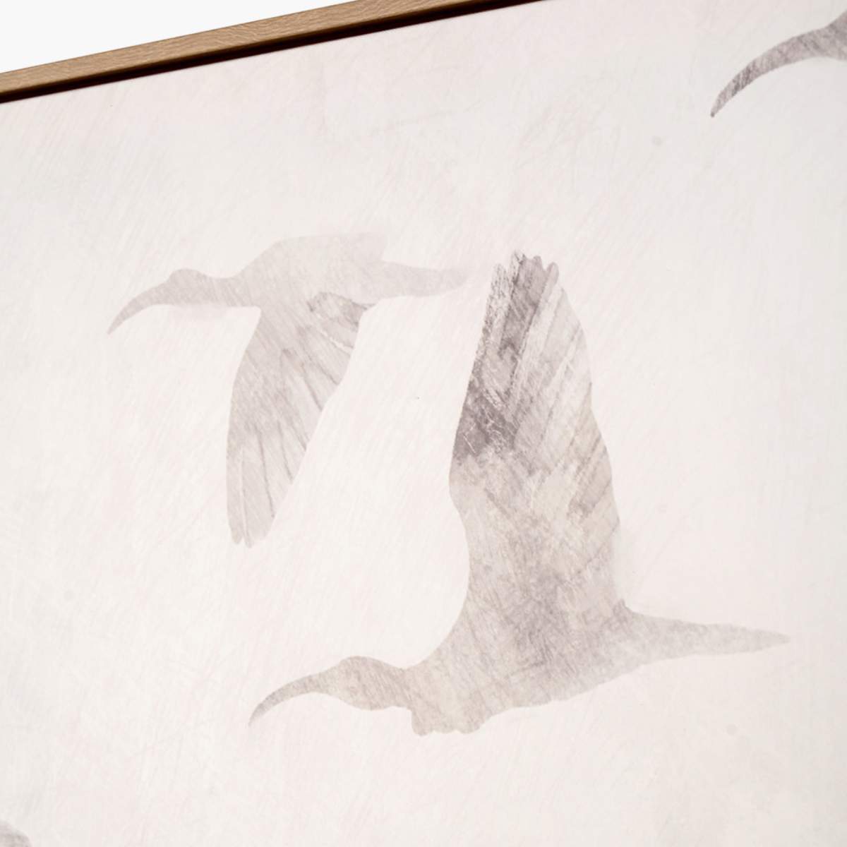 Pacific Lifestyle S/3 Natural and White Birds Canvases with Natural Frames