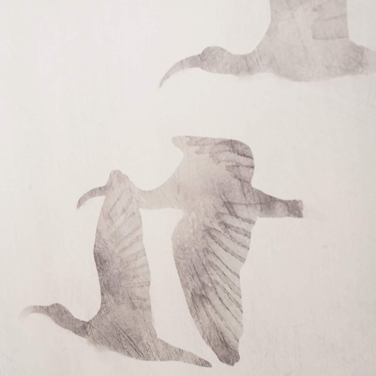 Pacific Lifestyle S/3 Natural and White Birds Canvases with Natural Frames