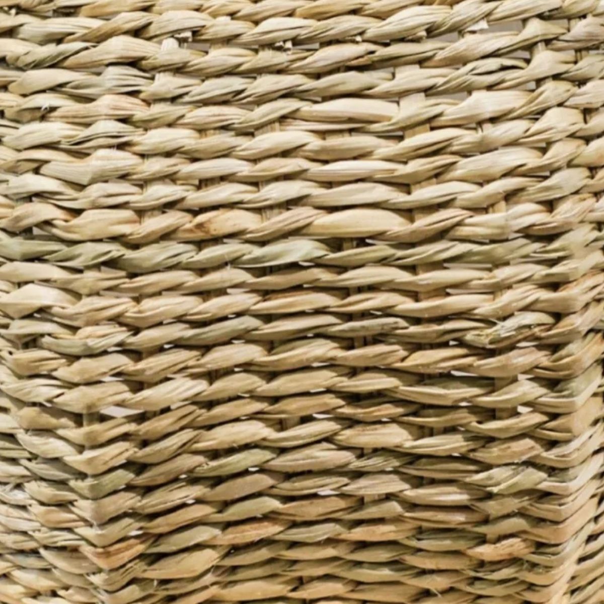 Ivyline Norwick Seagrass Pumpkin Basket H19cm D28cm
