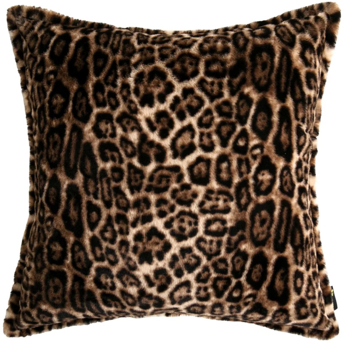 Paul Moneypenny Glamourpaws Cushion