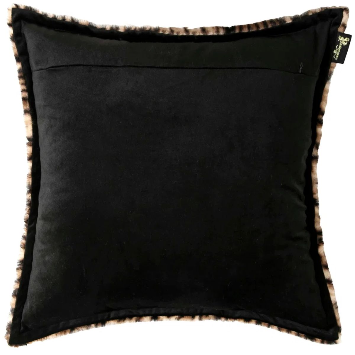 Paul Moneypenny Glamourpaws Cushion