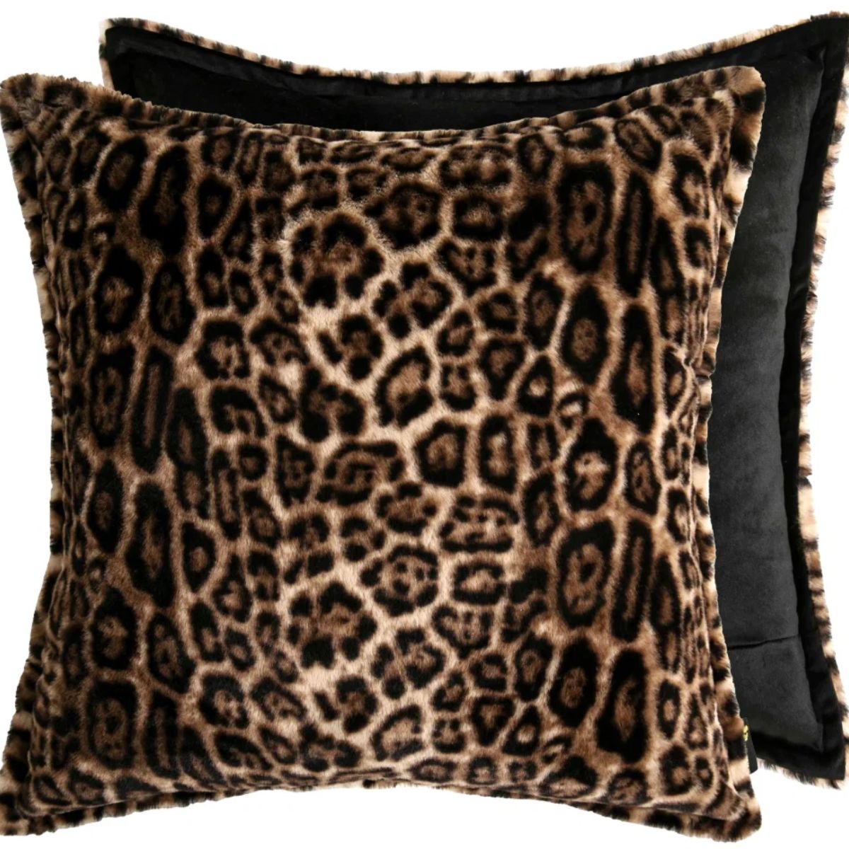 Paul Moneypenny Glamourpaws Cushion