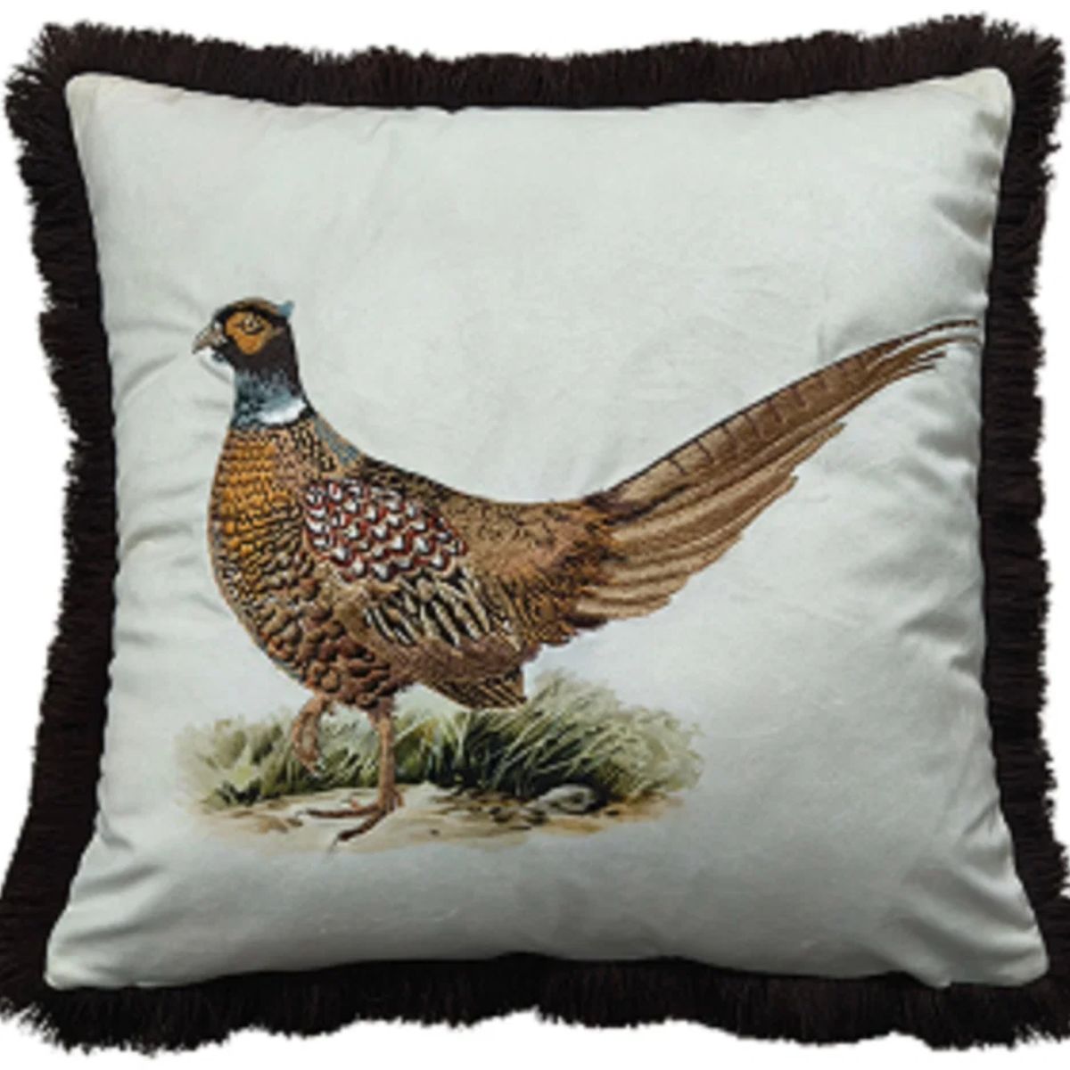 Paul Moneypenny Pluckingfabulous Cushion
