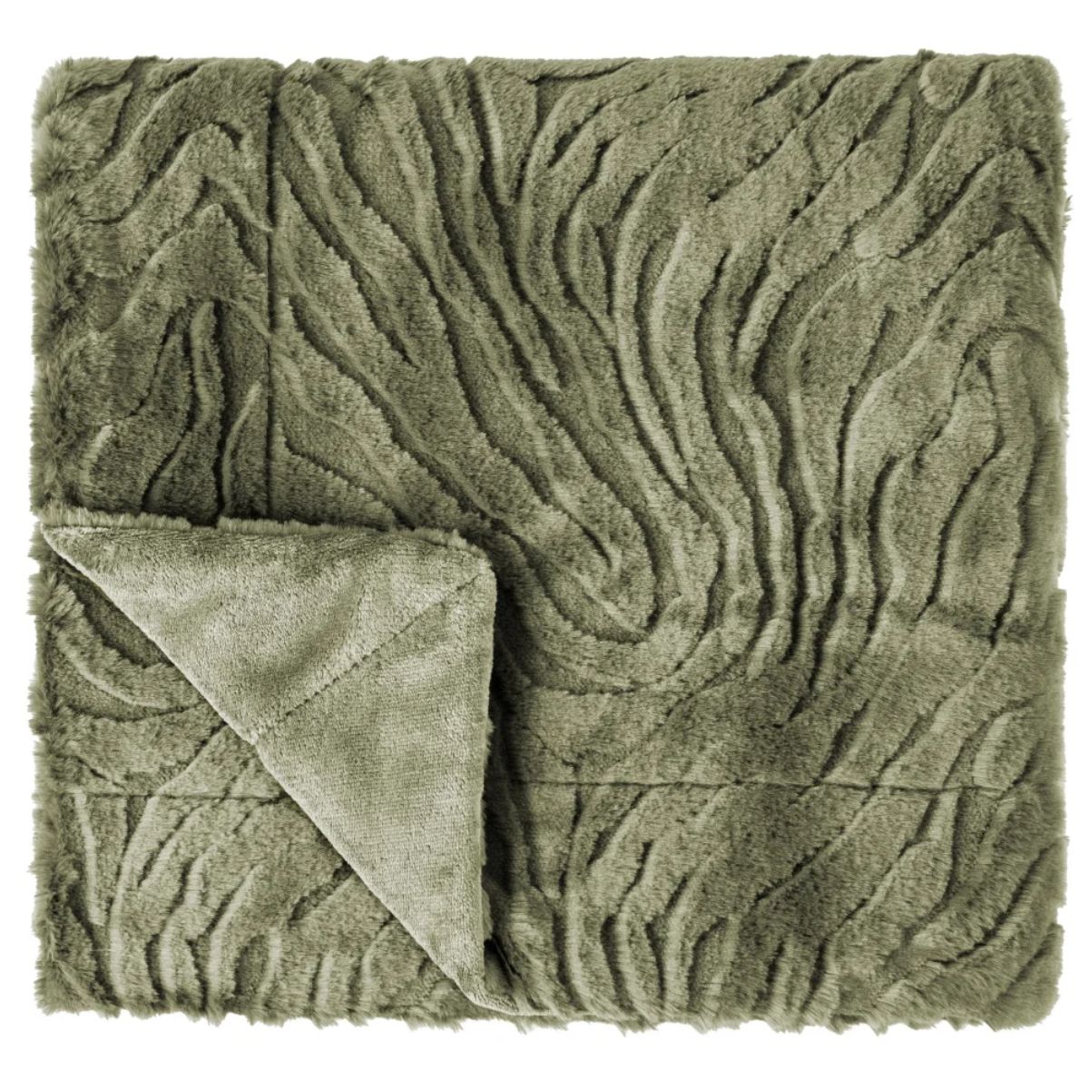 Paul Moneypenny Ziggy Newsagegreen Throw