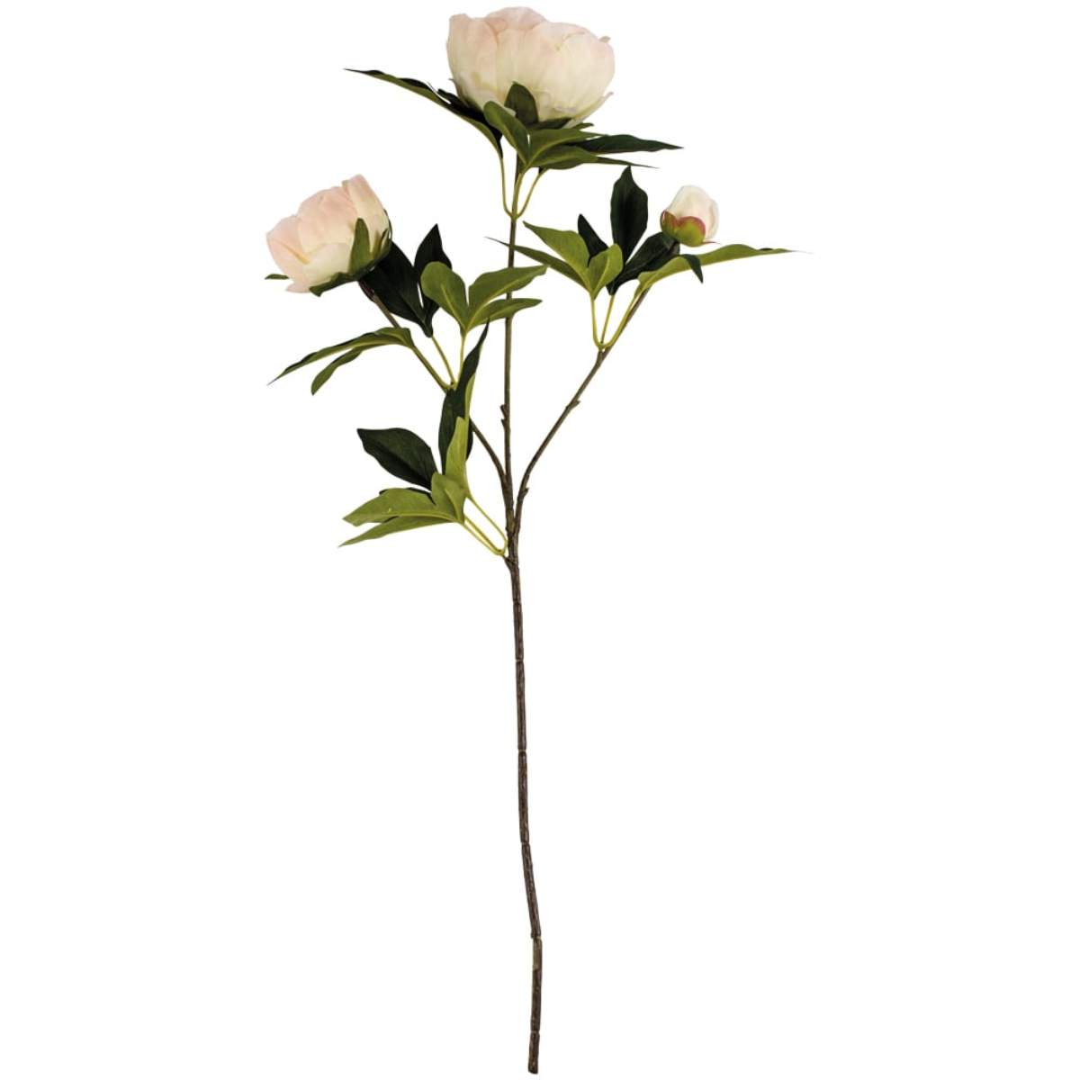 Grand Illusions Peony Spray Pale Blush
