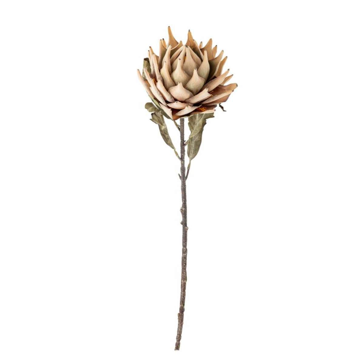 Bloomingville Protea Stem, Nature, Artificial Flowers