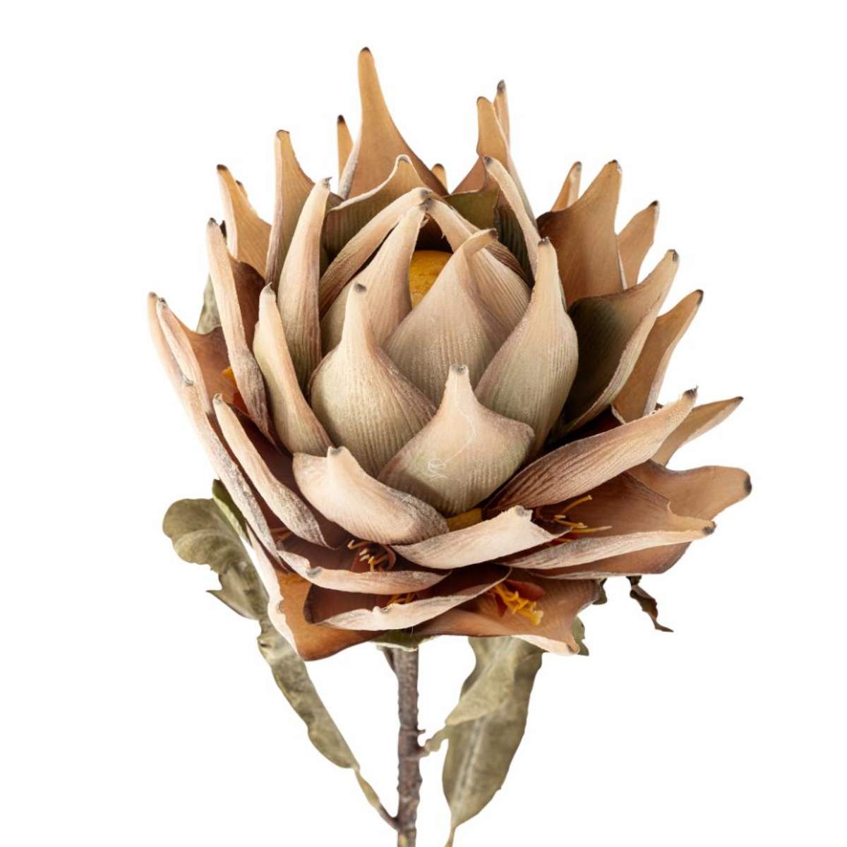 Bloomingville Protea Stem, Nature, Artificial Flowers