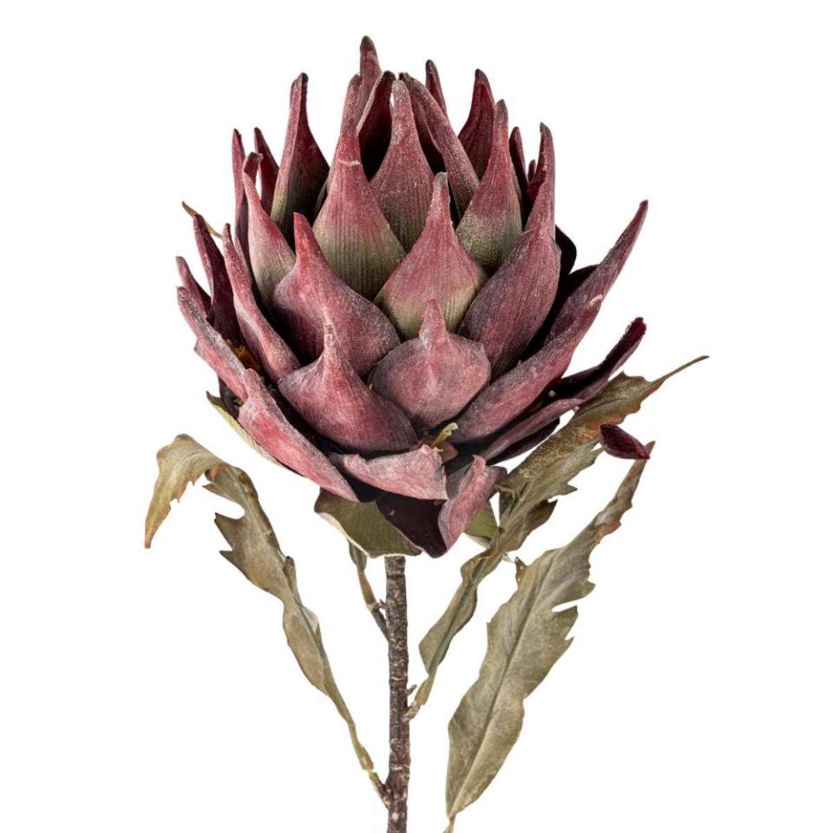 Bloomingville Protea Stem, Purple, Artificial Flowers