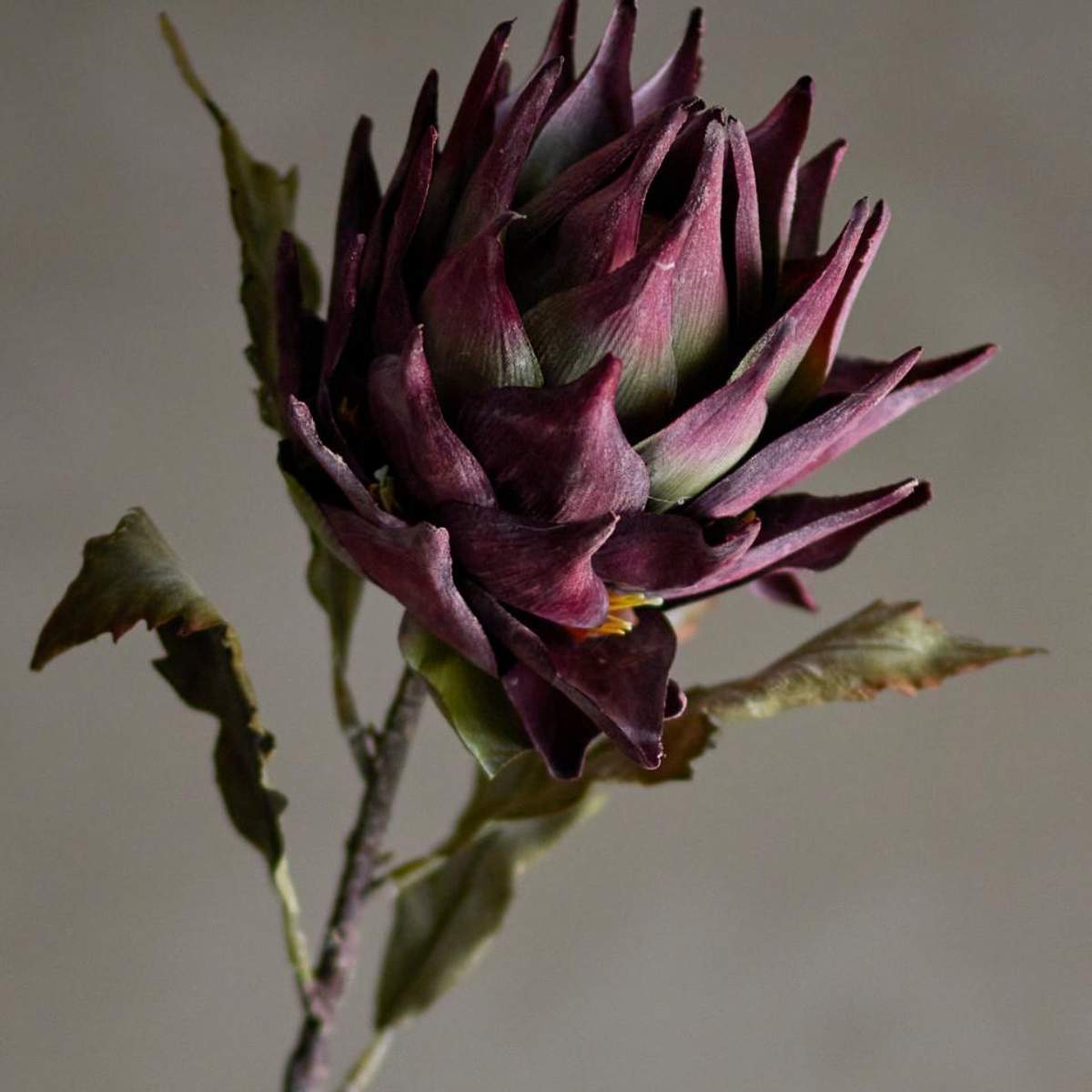 Bloomingville Protea Stem, Purple, Artificial Flowers