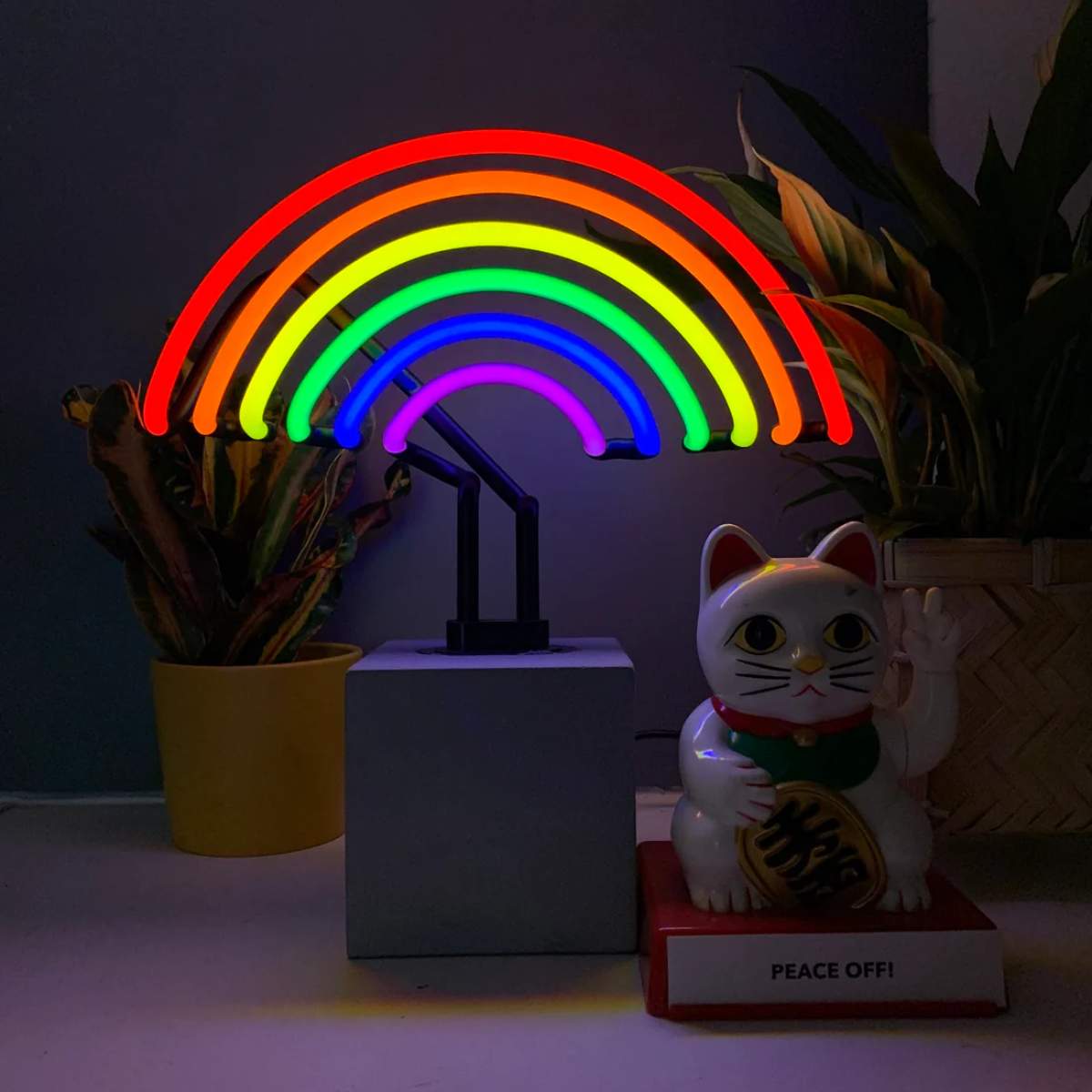 Locomocean Rainbow Neon Light