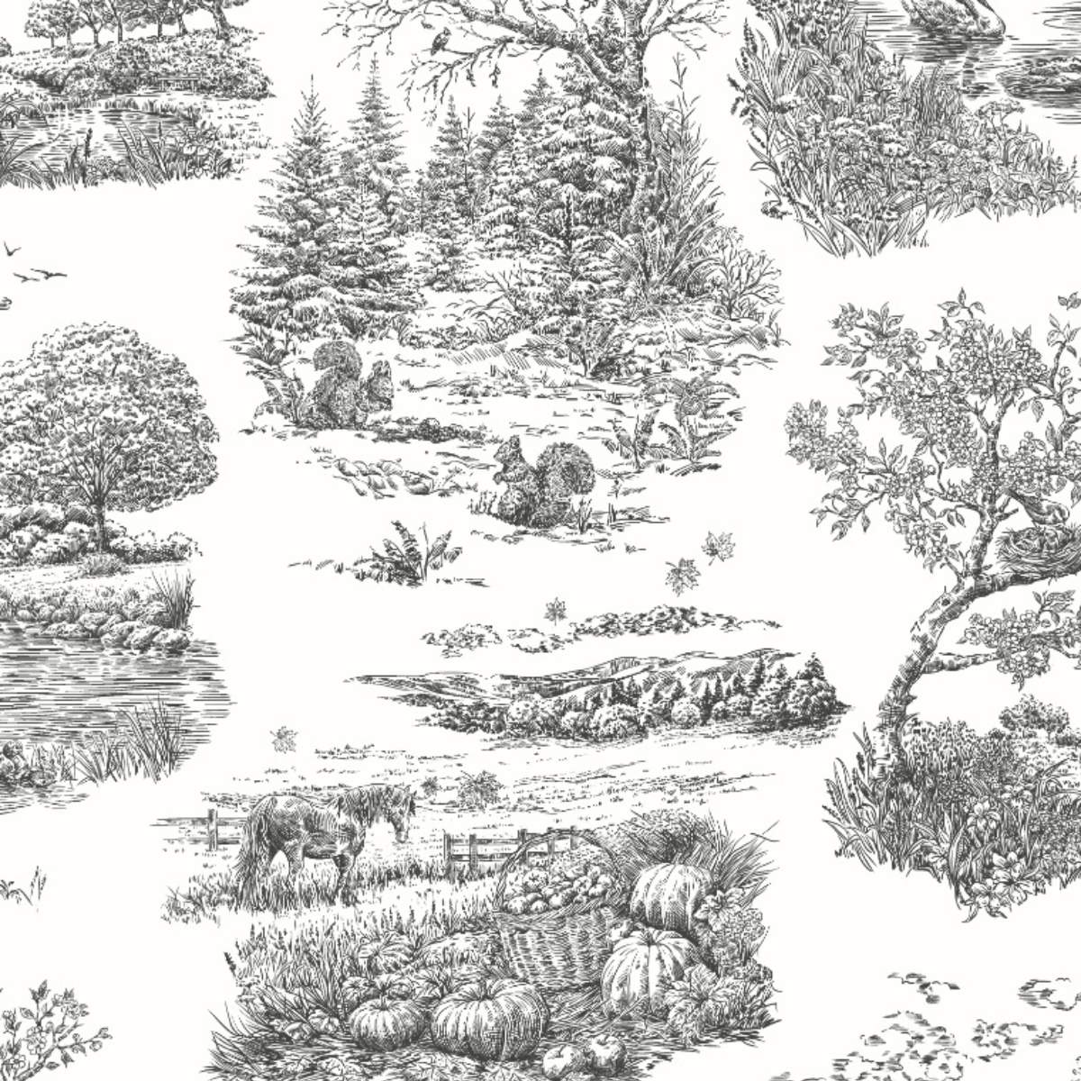 Ohpopsi Riches Of Nature Eve Toile - Noir