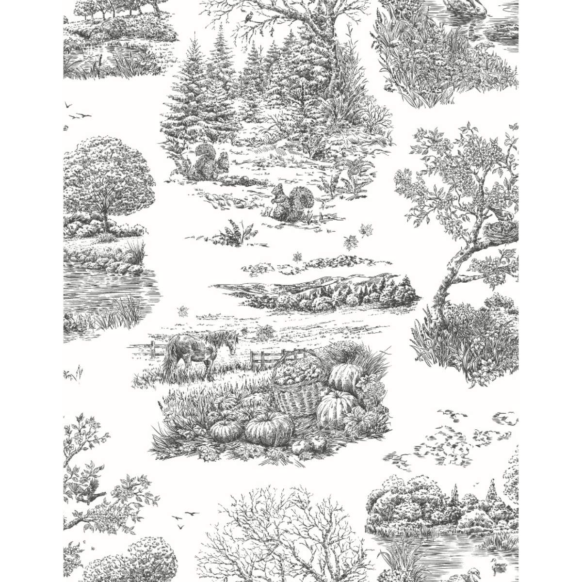 Ohpopsi Riches Of Nature Eve Toile - Noir