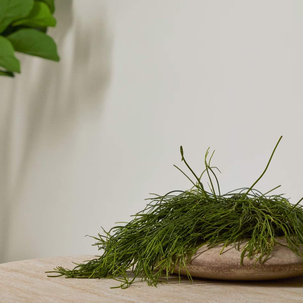 Kave Home Rivor terracotta planter with natural finish Ø 50cm