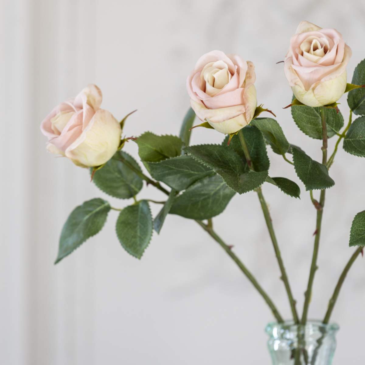 Grand Illusions Rose Apple White