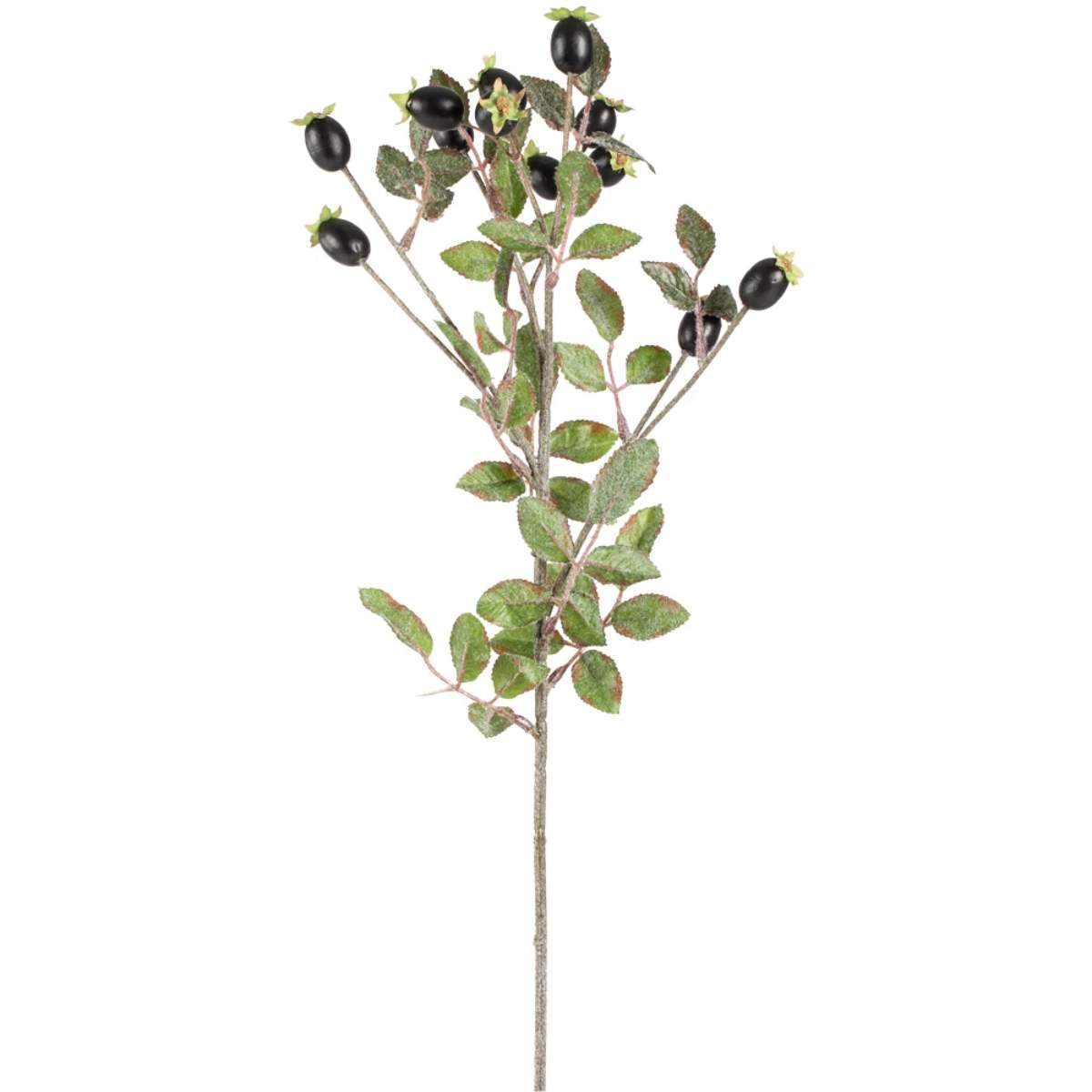 Grand Illusions Rose Hips Black