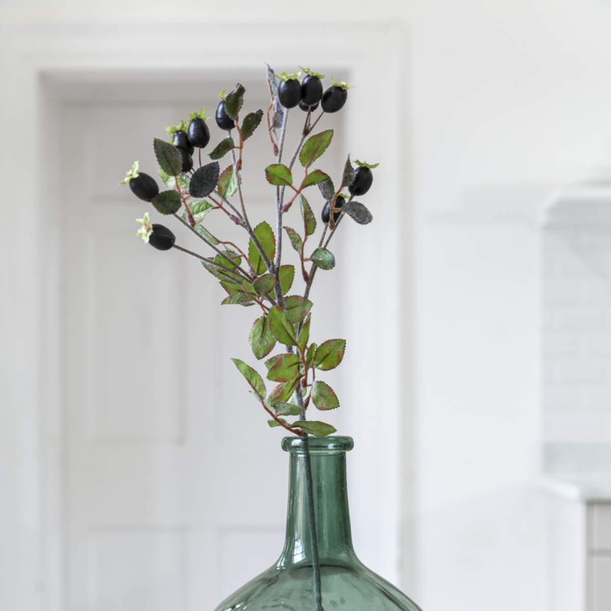 Grand Illusions Rose Hips Black