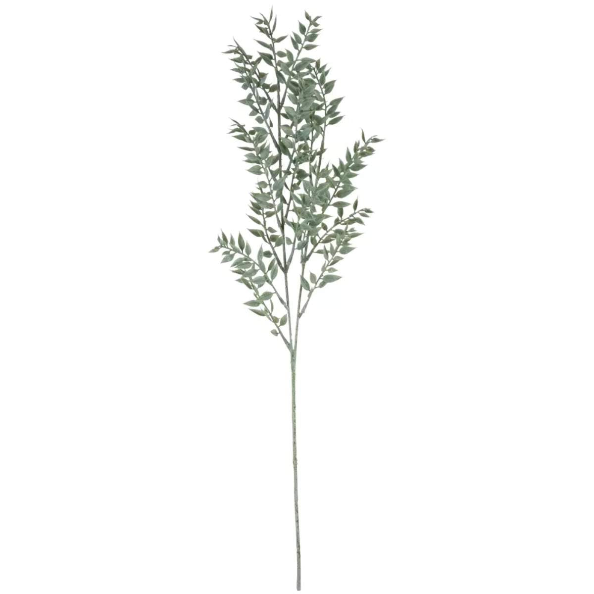 Grand Illusions Ruscus Spray