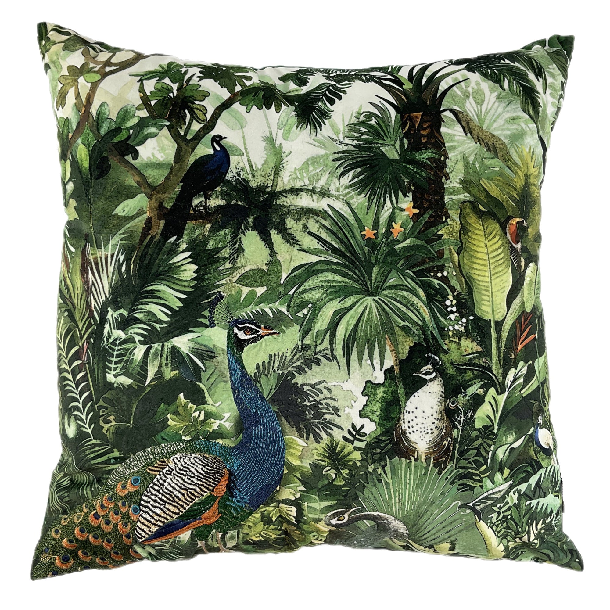 Malini Embroidered Peacock Print
