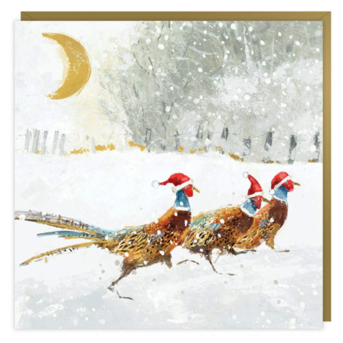 Artbeat Santa Dash Christmas Cards 48pk