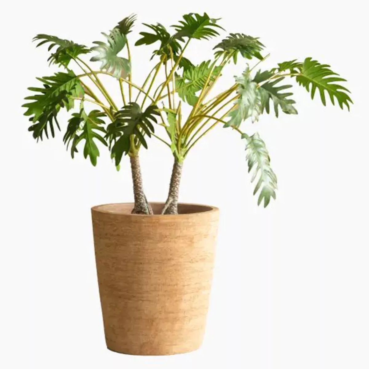 Vincent Shepherd Saya Outdoor Conic Planters