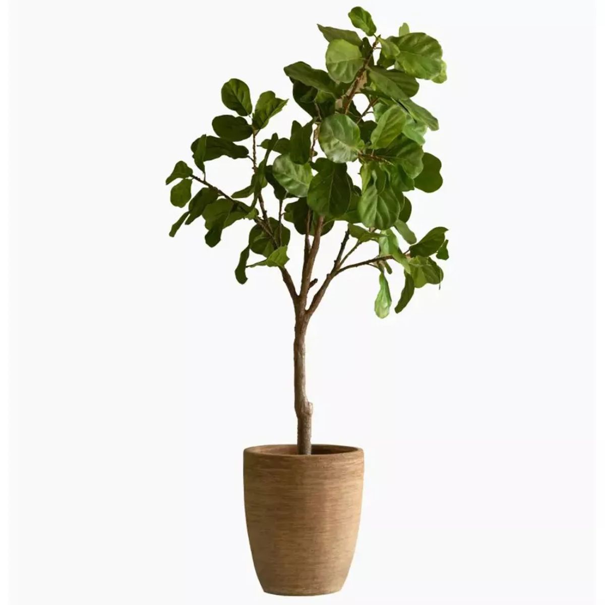 Vincent Shepherd Saya Outdoor Oval Planters