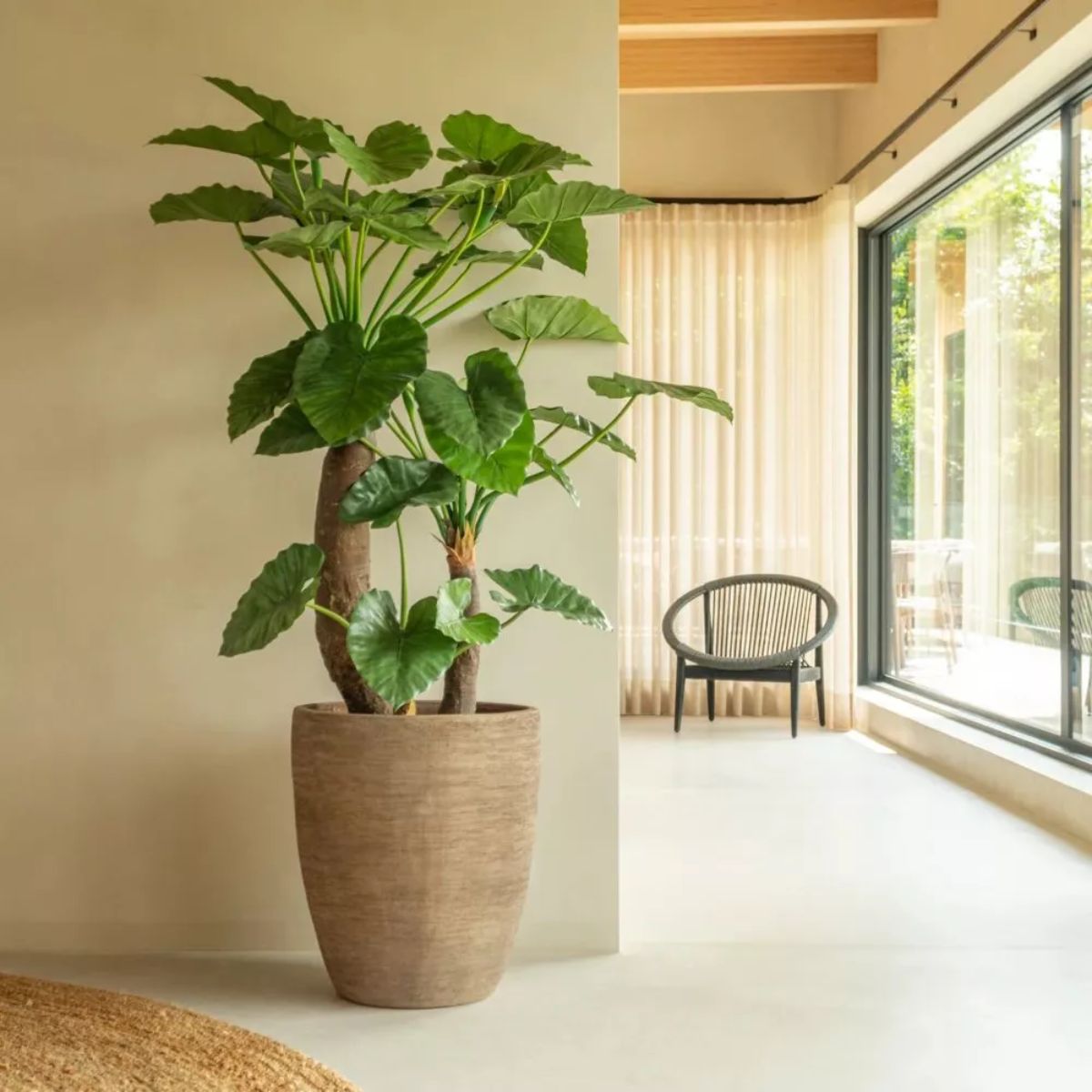 Vincent Shepherd Saya Outdoor Oval Planters