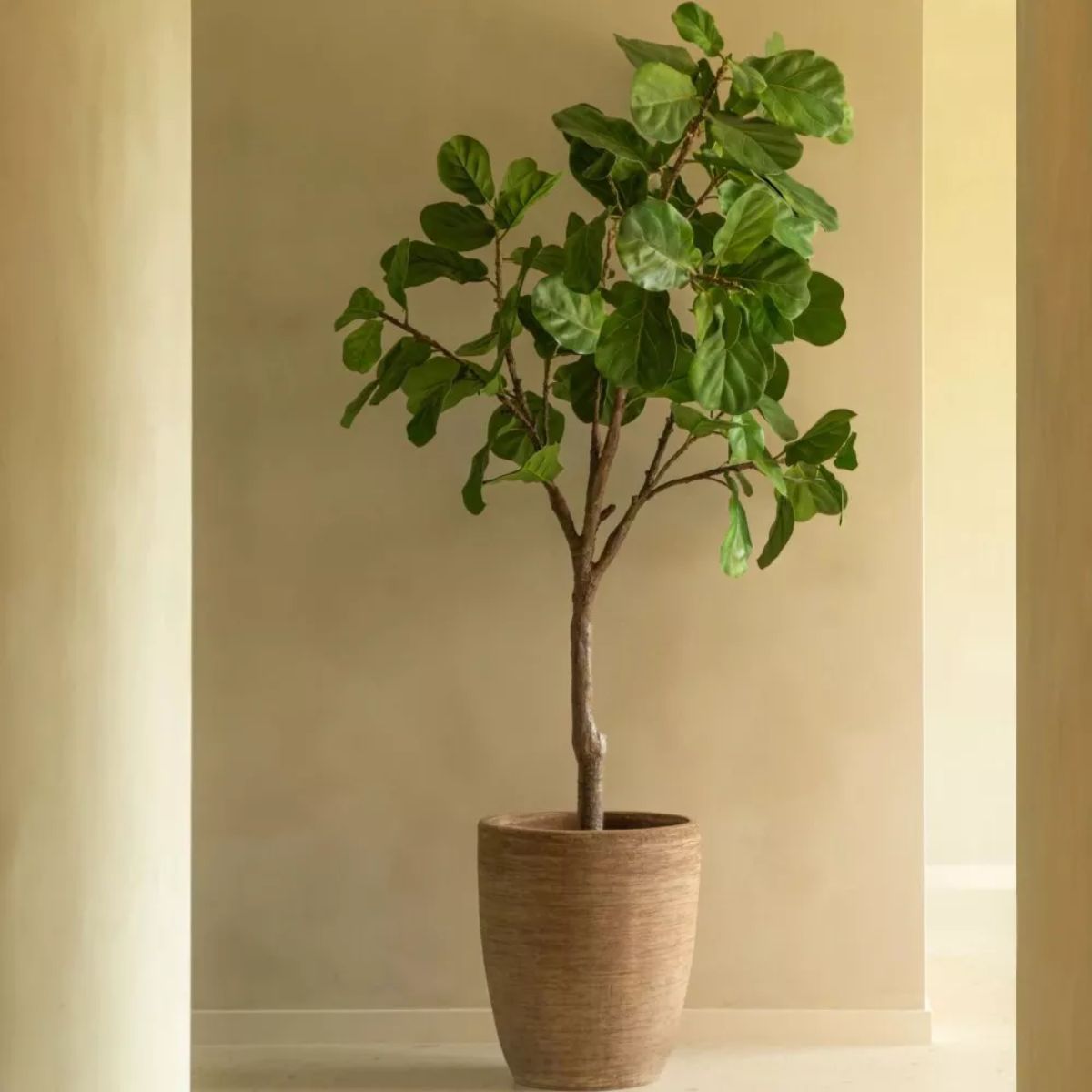Vincent Shepherd Saya Outdoor Oval Planters