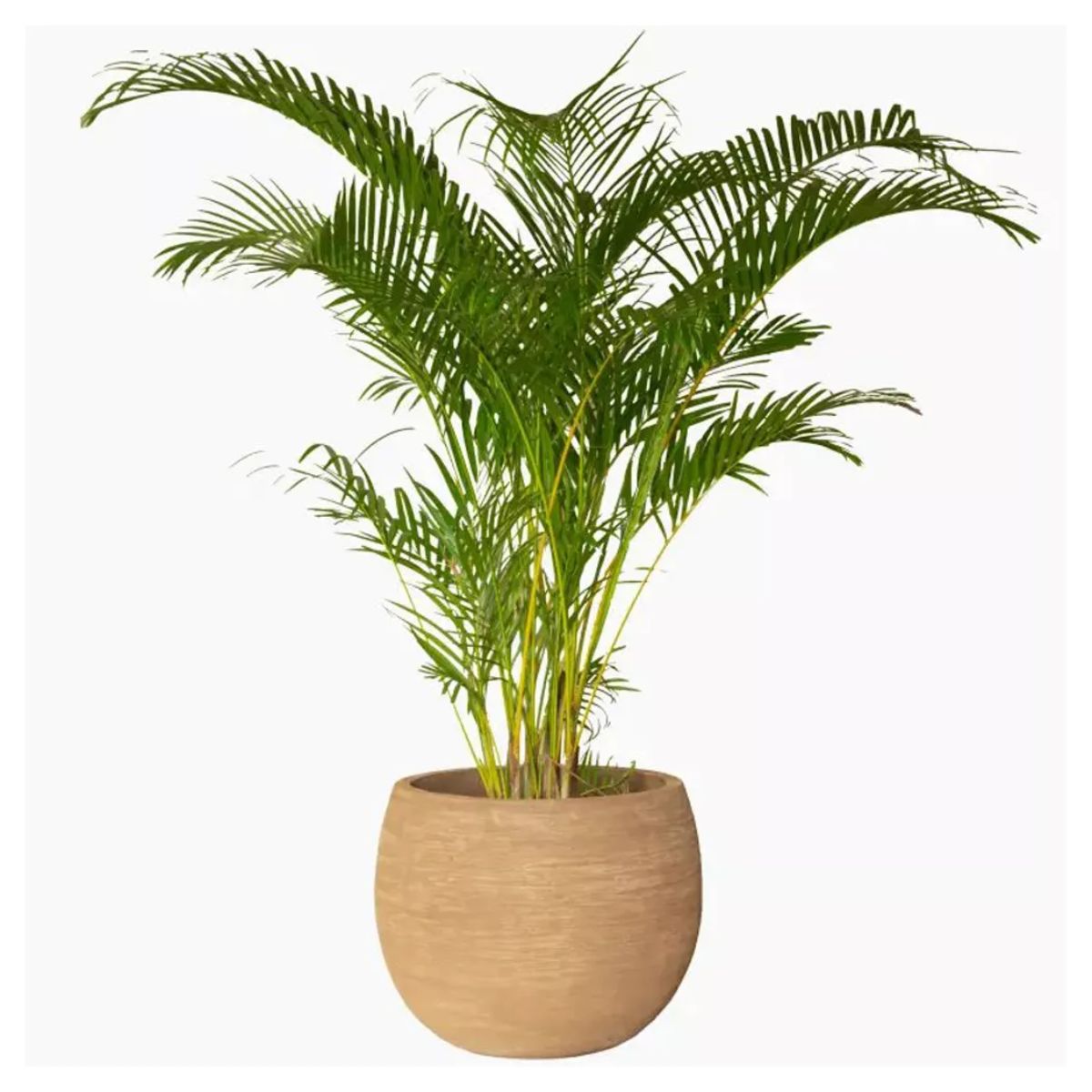 Vincent Shepherd Saya Outdoor Round Planters