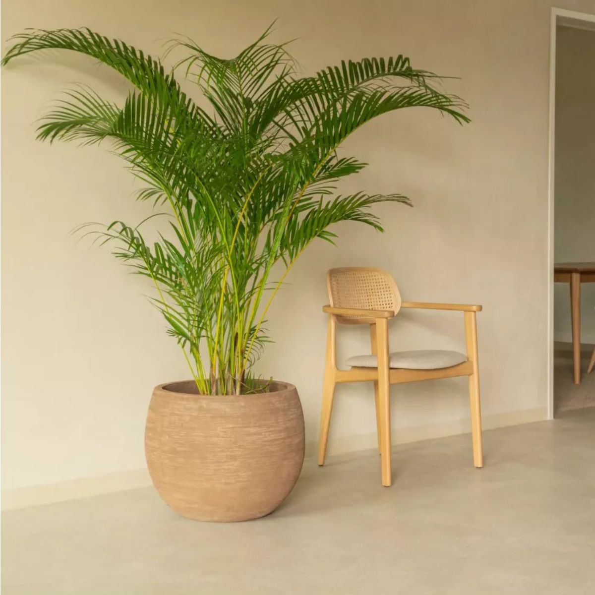 Vincent Shepherd Saya Outdoor Round Planters