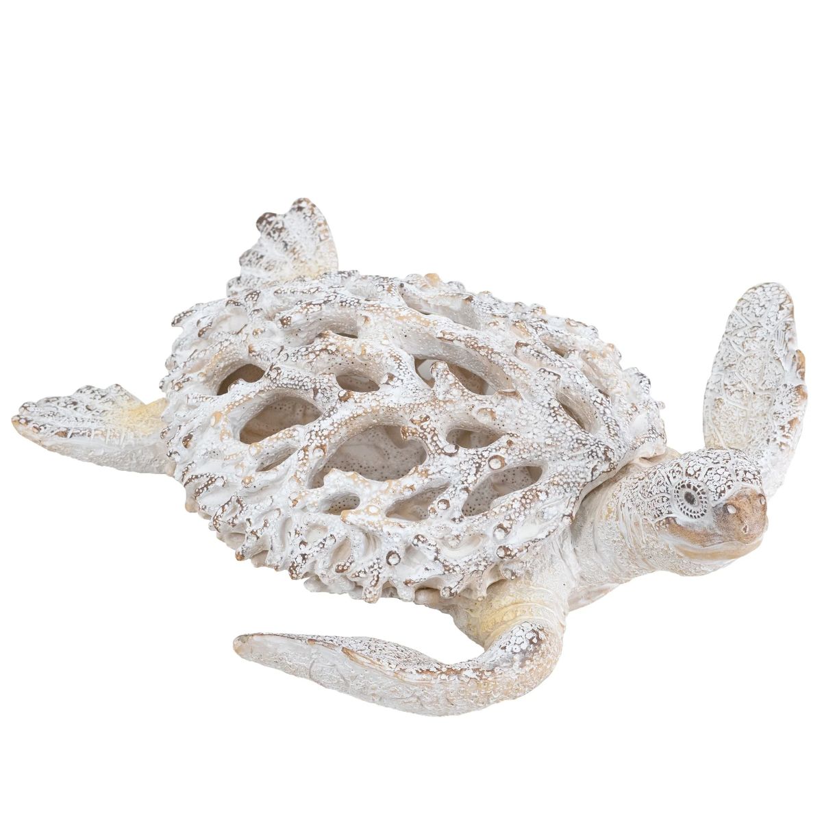Mindy Brownes Sea Turtle
