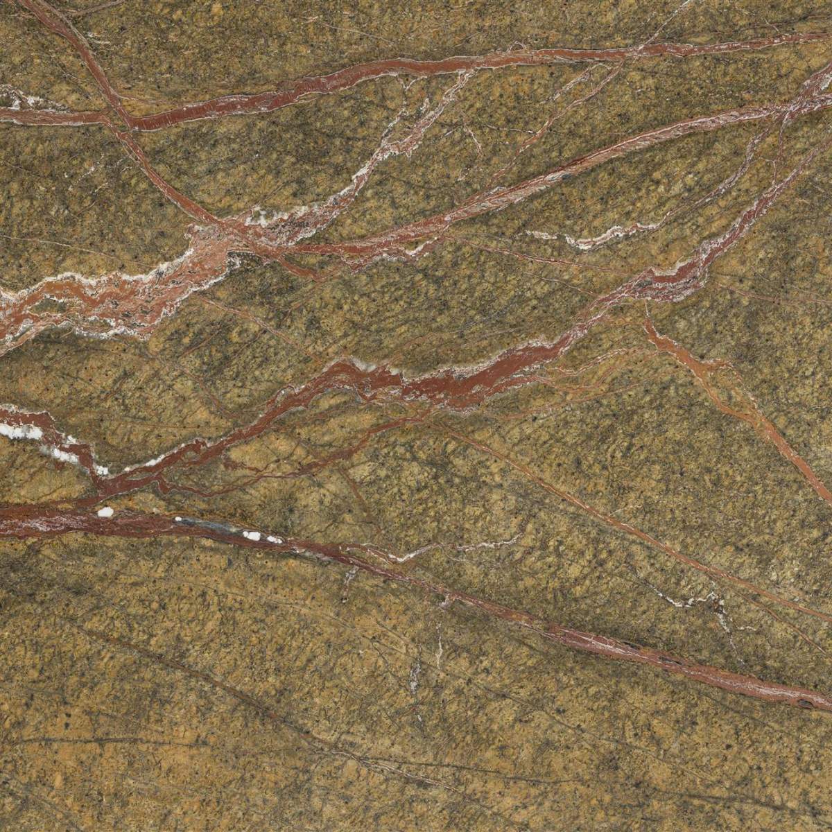 Dutch Bone Side Table Satpura Brown Marble